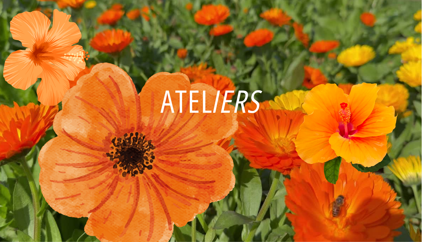 ATELIERS PRÉVENTION SANTÉ & VIVRE ENSEMBLE